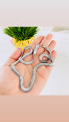 Silver Flat Collar  snake